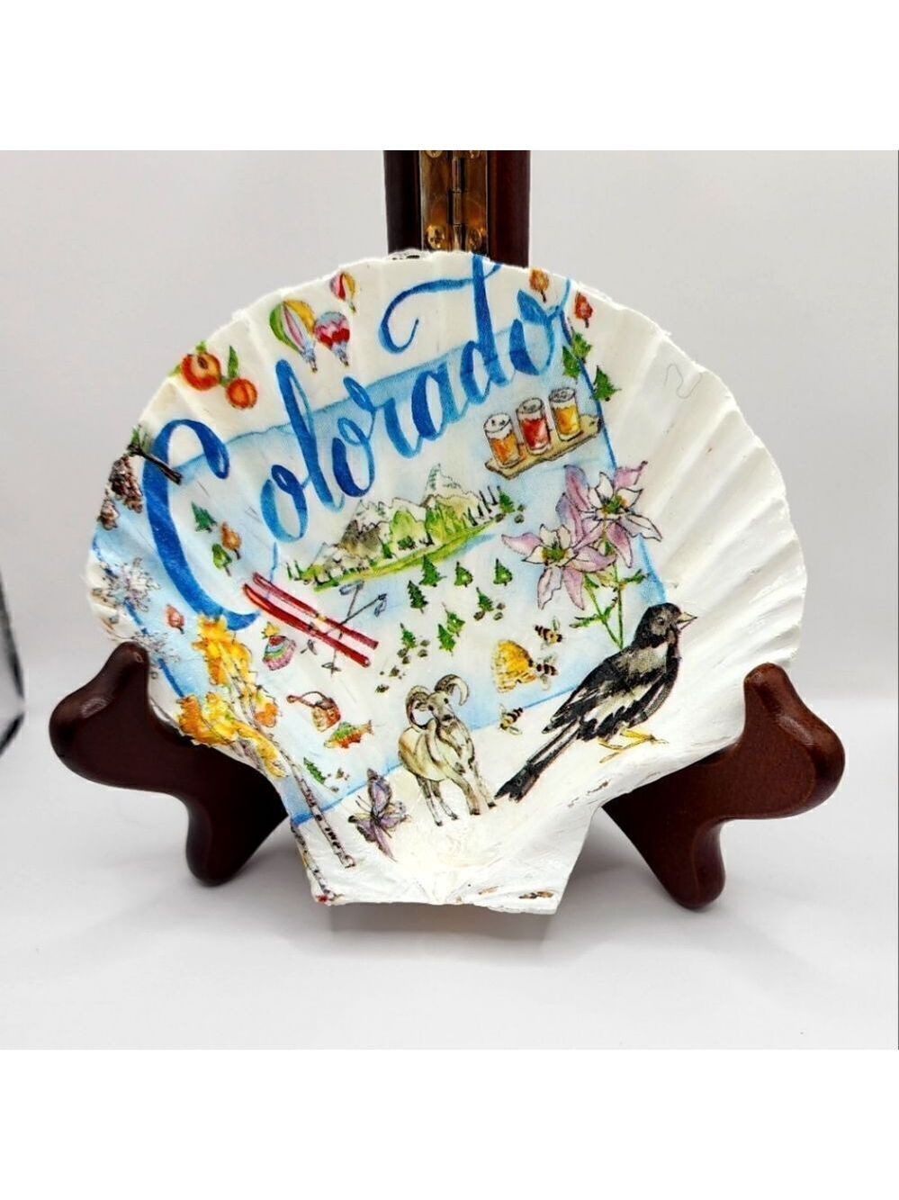 SCALLOPED FAN SHELL 
